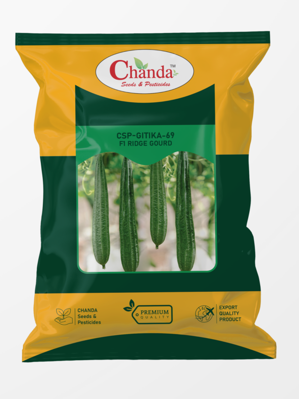 Ridge Gourd
