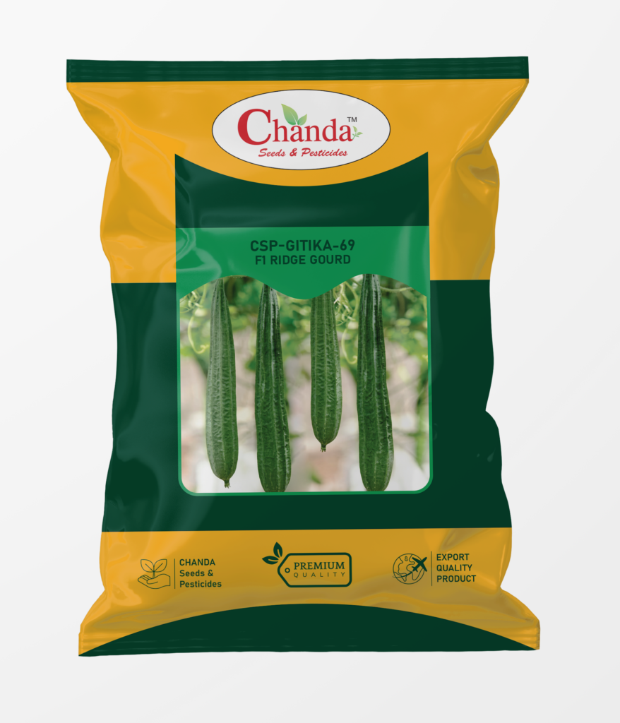 Ridge Gourd