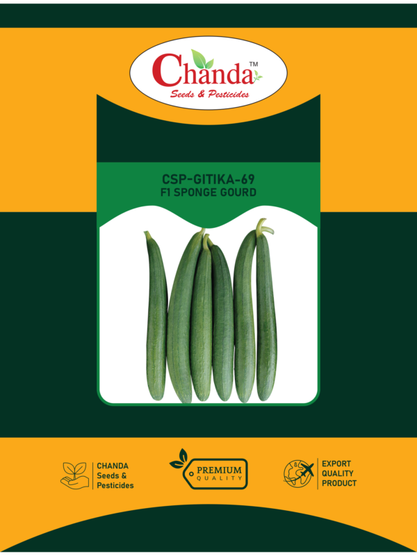 Sponge Gourd