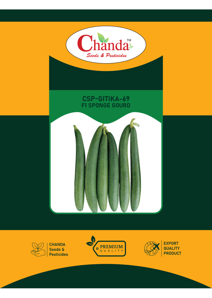 Sponge Gourd