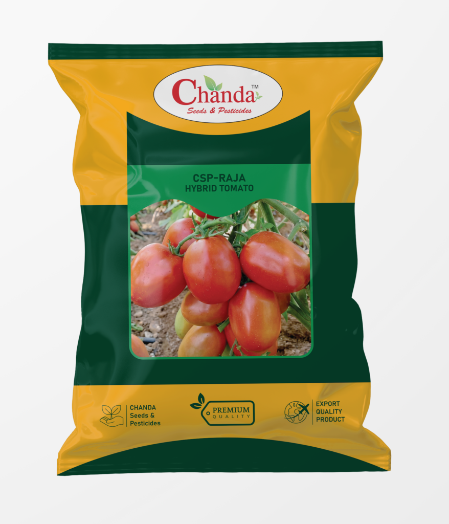 Tomato Raja