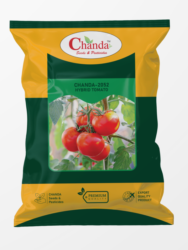 Tomato2052